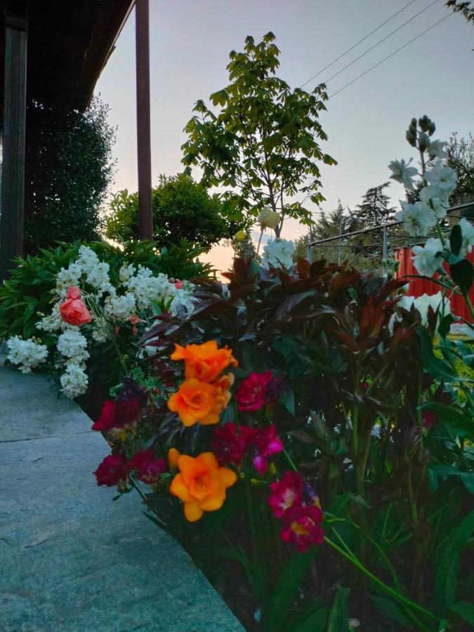 Adam'S Holiday House 2019 Kariani ภายนอก รูปภาพ