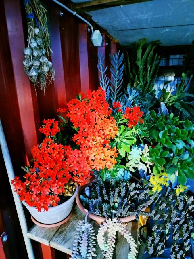 Adam'S Holiday House 2019 Kariani ภายนอก รูปภาพ